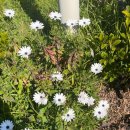 코코게임방 이미지