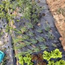 잘크는농장 이미지