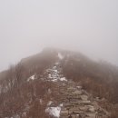 그린골프연습장 이미지