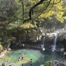 원앙목장 이미지