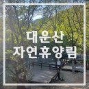 대권오토야영캠핑장 | 대운산 자연휴양림 캠핑장 후기-계곡 물놀이 및 야영데크 꿀자리 추천