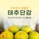 진영농원 이미지