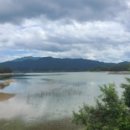 대청호카페 금린 이미지