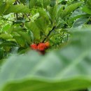 비아경로당 이미지