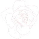 엘플로르