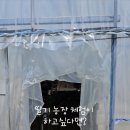 주성농장 네이버블로그
