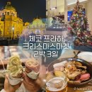 면플릭스 | 독일에서 체코 프라하 이동! 플릭스버스 후기와 프라하 야경 스냅촬영