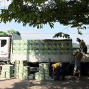 건강의향기 이미지