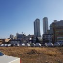 구.울산초 이미지