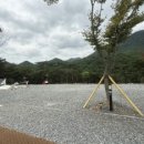 경남오토 | 청결도 최고! 경남 고성 모든날오토캠핑장 후기