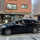 안나펫살롱 이미지