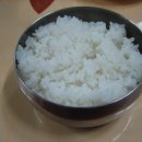 탐라물회
