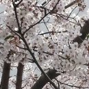 스타키보청기동래센터 이미지