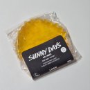 [젤러쉬 7기] SUNNY DAYS 아이 패드 써니 데이즈 후기