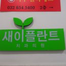 온플란트치과의원 이미지