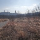 용산-452 이미지