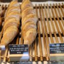 브레드100(Bread100)