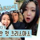 더 피오나