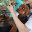 금비식당 이미지