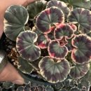 공구마을 이미지