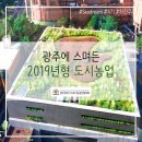 매화락 협동조합 | [생산/소비] 광주에 스며든 '도시농업'