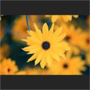 아리수로 25길 이미지