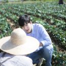 민호농장 이미지