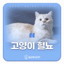 봉곡동물병원 이미지
