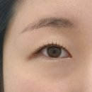 다윤 | 매곡동속눈썹 찾는다면 그리다윤 자연스러운 변화 후기