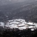 봉암사 - 1772 | 봉암사