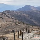 형제봉 등산로 입구(만촌동 산160) | 영남알프스 신불산 등산코스 건암사 최단코스