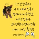 (주)라온아카데미앤에이전시 | 🎬 [그린컴퓨터아카데미 신촌]10월 멀티미디어콘텐츠제작전문가 자격증 대비 개강확정!소수정원 · 밀착...