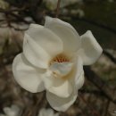 동강자연애 이미지