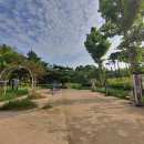 월성체육시설 이미지