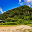 훼미리낚시터 이미지