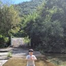 자작나무뜰 오토캠핑장 이미지