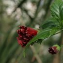 태기농장 이미지