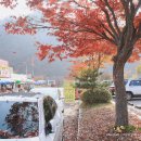 관인중학교 이미지