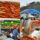 울진대게 | 울진 대게축제 후기 실망 대게 포장 내돈내산