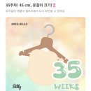 애플 텔 이미지