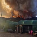 삼랑진초등학교 이미지