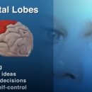 서귀동-39 이미지