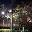 원이조 이미지