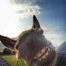 날아라슈퍼 이미지