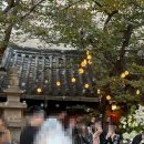 (주)큐로드 | 웨딩16. 웨딩홀 투어 - 대구 수성구 아현정 하객 후기, 야외웨딩 추천, 장단점, 솔직리뷰