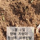 오뚜기농장 이미지