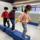 용인대 지노태권도 이미지