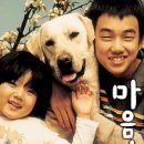 마음이가 Daum카페