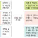 안수길 제3인간형 이미지