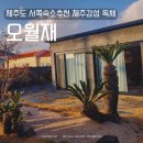 제주독채펜션감성숙소사우나 | 제주도 서쪽숙소추천 제주감성 독채 오월재 자쿠지 사우나 내돈내산 후기